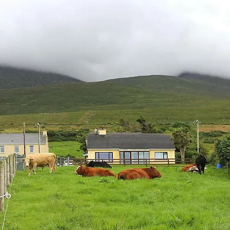 Holiday Eir021002 F Tralee